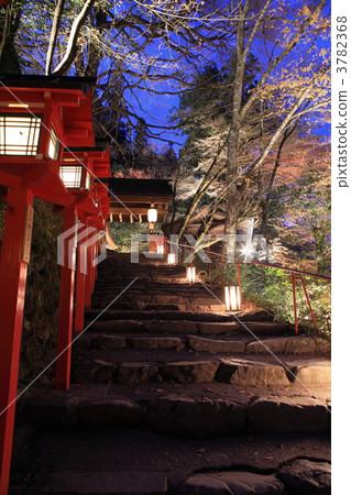 Kimi Ship Momiji Lantern 3782368