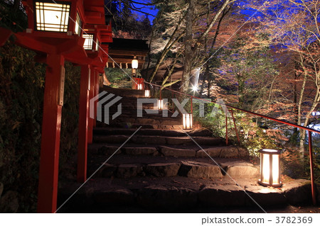 Kimi Ship Momiji Lantern 3782369