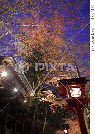 Kimi Ship Momiji Lantern Kimi Ship Momiji Lantern 3782371