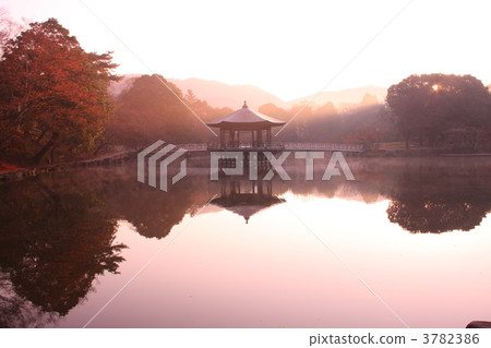 浮禦堂寺 晨露 日出 3782386