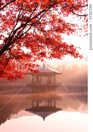 浮禦堂寺 晨露 日出 3782394