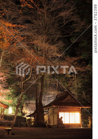 Kimito Momiji Lantern Oku Palace 3782399