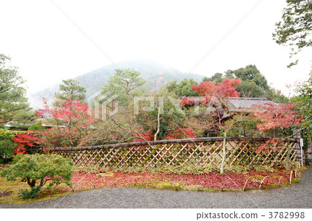 Gwanjeong的歡樂牆 3782998