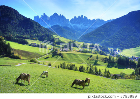 初秋的蜂蜜谷 初秋的蜂蜜谷 3783989