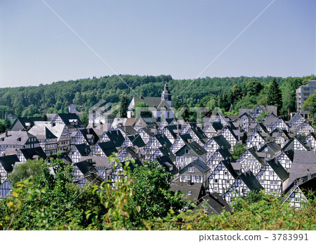 Freudenberg樹屋家庭 3783991