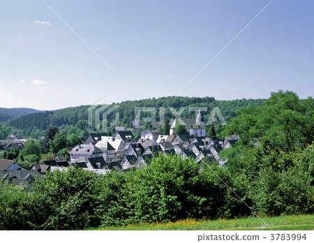 Freudenberg樹屋家庭 3783994