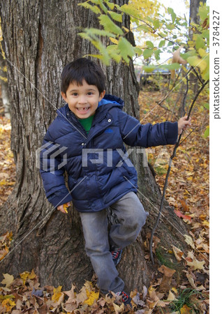 人 人物 人類 3784227