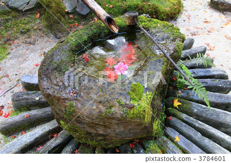 Hand bowl Hand bowl 3784601