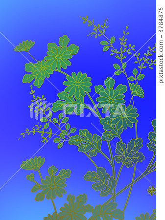 plants which flower in autumn, chrysanthemum, to hear 3784875