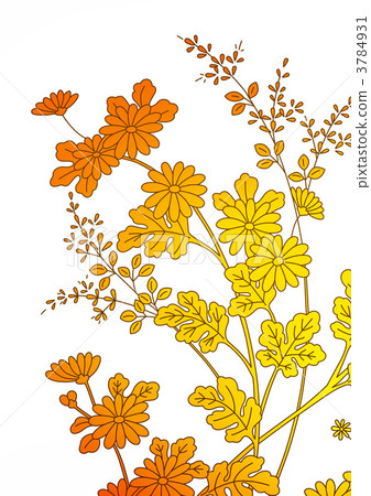 plants which flower in autumn, chrysanthemum, to hear 3784931