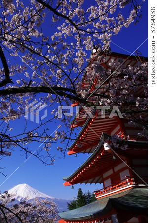 asamshrine, mountain fuji, mt fuji 3784938