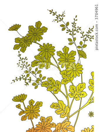 plants which flower in autumn, chrysanthemum, to hear 3784961