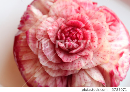 flower, flowers, rose 3785071