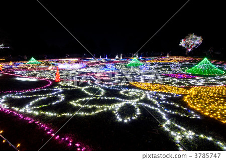 Winter Vista Illumination 2011 (Ground Illumination) 3785747