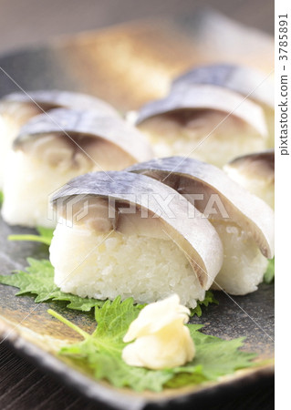 Mackerel with sushi and large leaves Mackerel with sushi and large leaves 3785891
