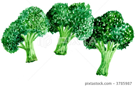 broccoli, vegetables, vegetable 3785987