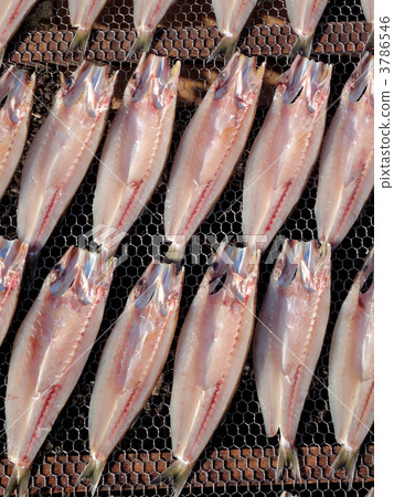Dried fish 3786546