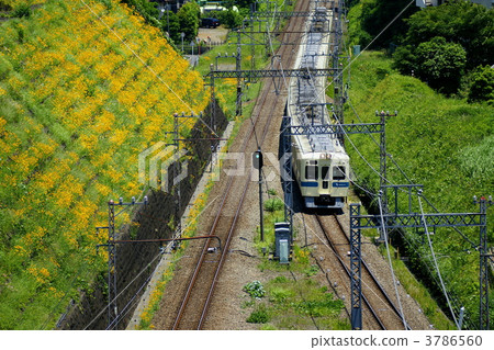 馬車 乘 騎 3786560
