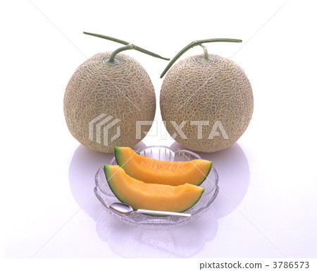 Yubari IK melon Yubari IK melon 3786573