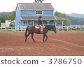 horse back riding, horseback riding, horseriding 3786750