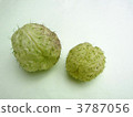 綠色水果水果 3787056