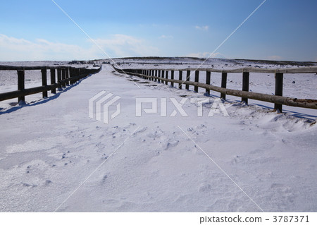 冬天的宇塚原高原 3787371