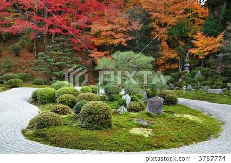 Kyoto Mandemu Autumn Garden 3787774