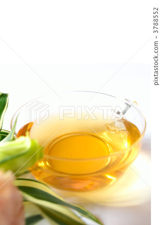 玫瑰果茶 3788552