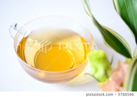 玫瑰果茶 3788566