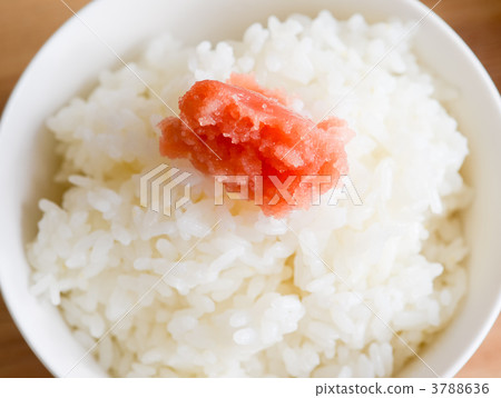 家常鱈魚的魚子 日式料理 日本料理 3788636