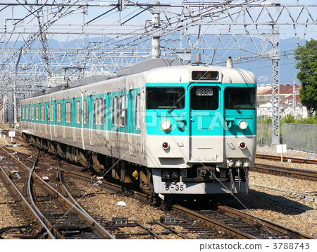 113系列Oshama線顏色 3788743