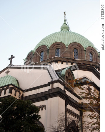 Niko Raido Niko Raido 3788805