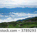 senjojiki curl, mt. komagatake, sea of clouds 3789293