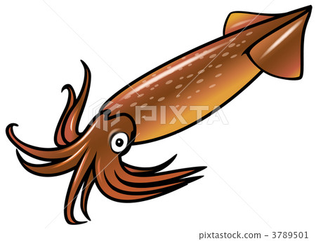 平和的烏魚 頭足類動物 軟體動物 3789501
