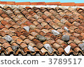 Eastern European farmhouse roof 3789517