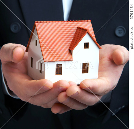 The house in a hand 3791484
