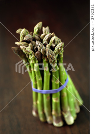 Bunch of asparagus Bunch of asparagus 3792381