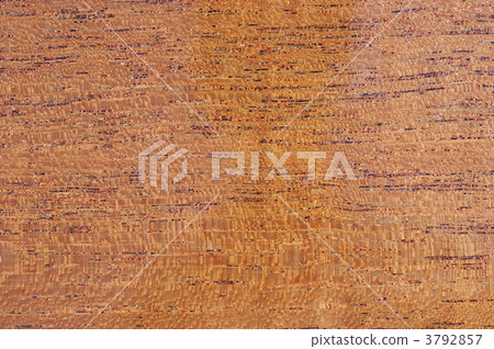 background - textured. Piece of the varnished tree. 3792857