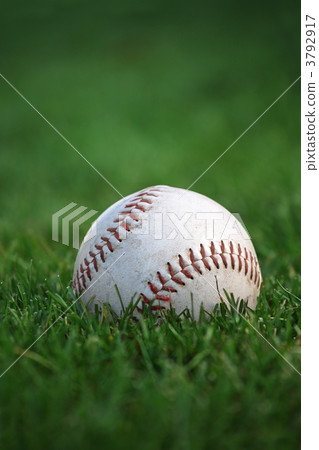 Baseball in the outfield 3792917