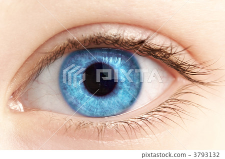 Eye of the person close up Eye of the person close up 3793132