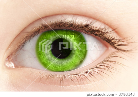green eye of the person close up green eye of the person close up 3793143