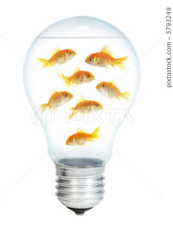 Gold small fish in light bulb Gold small fish in light bulb 3793249