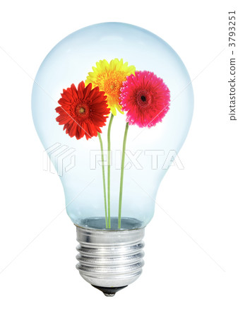 Electrobulb with a bunch of gerberas Electrobulb with a bunch of gerberas 3793251