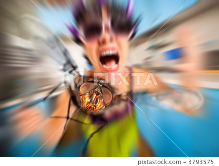 housefly housefly 3793575