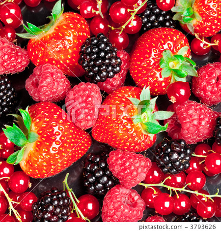 berrys berrys 3793626
