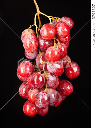 grapes grapes 3793807