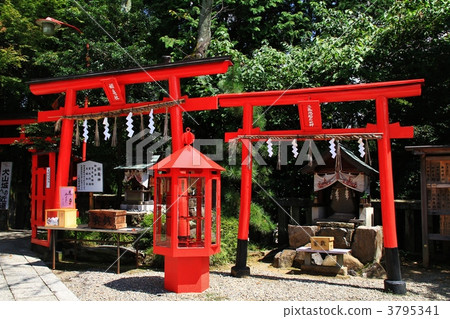 Saruhido Shrine & Sanko Inari Shrine Saruhido Shrine & Sanko Inari Shrine 3795341