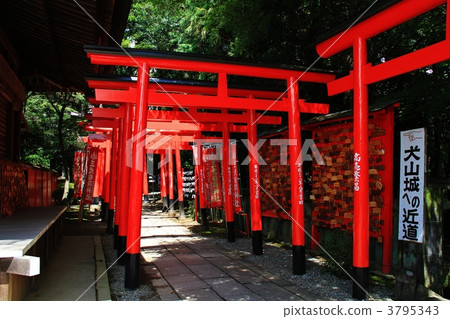 Saruhido Shrine & Sanko Inari Shrine Saruhido Shrine & Sanko Inari Shrine 3795343