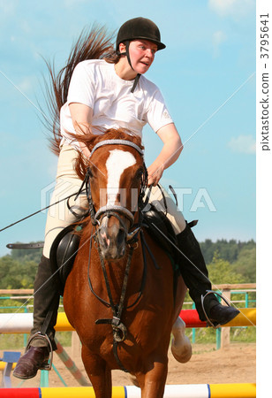 show jumping 3795641