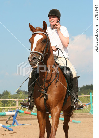 The girl skips on a horse 3795644